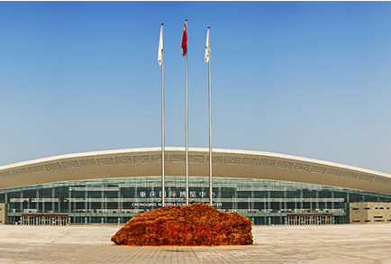 第十八屆國際檢驗(yàn)醫(yī)學(xué)暨輸血儀器試劑博覽會（CACLP）